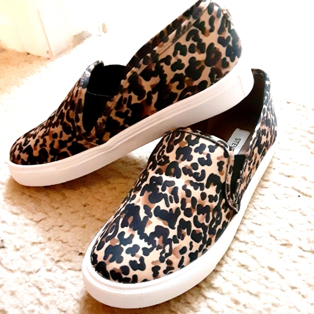 Steve Madden Sneakers